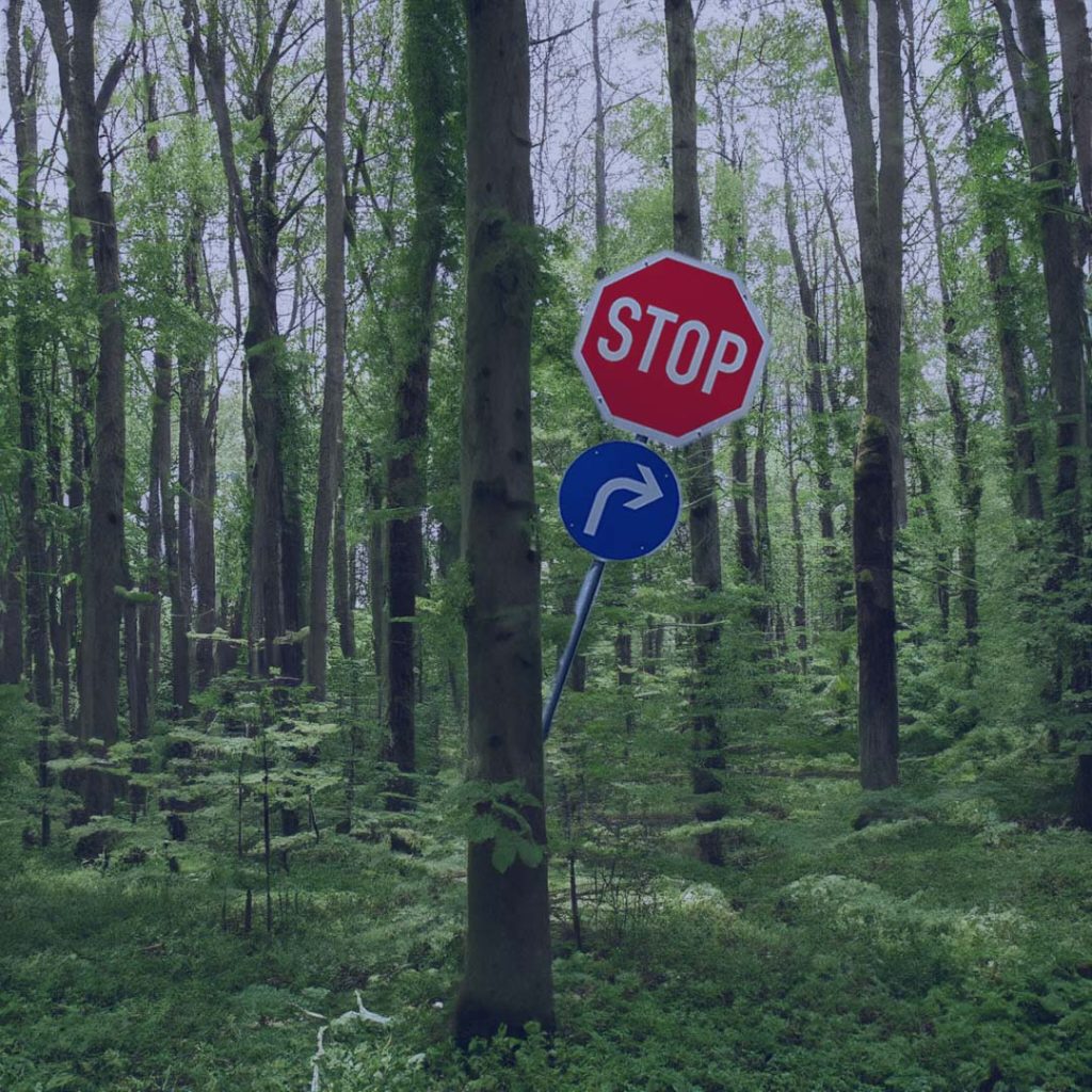 Stopbord in een bos achter een boom