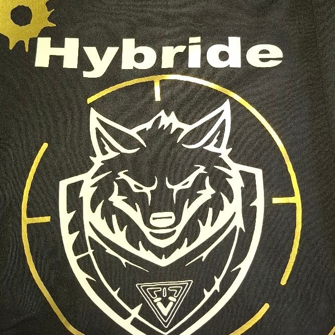 Hybride airsoft team